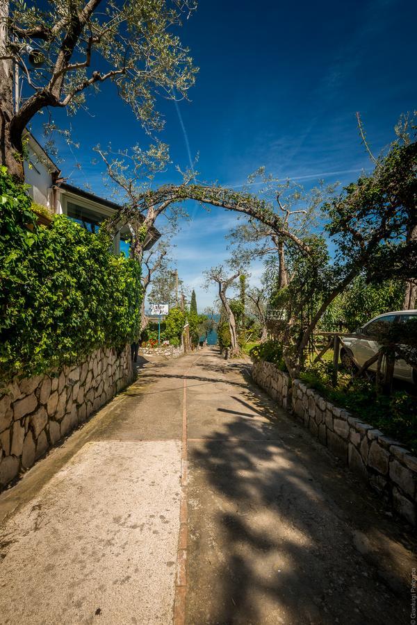 Camping Nube D'Argento Península Sorrentina Exterior foto